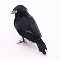 Realistic Black Crow Halloween Decor — Set of 6 Flocked Crows